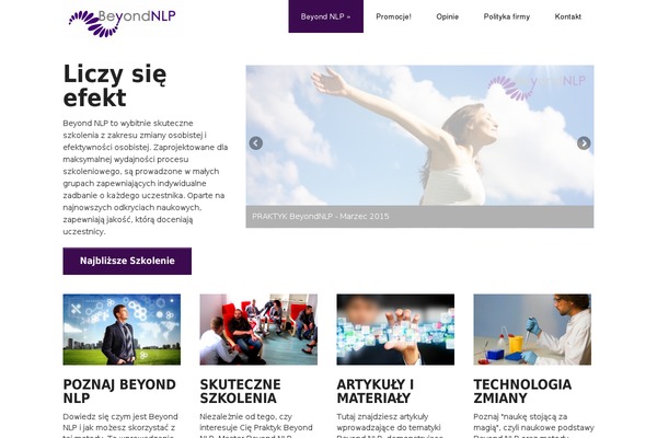 discover theme site design template sample