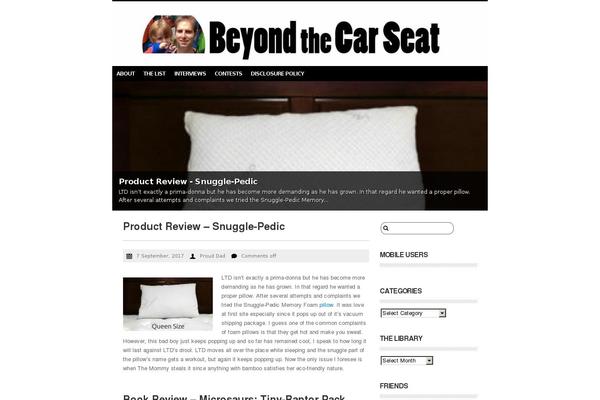 Desire theme site design template sample