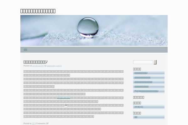 Silver Spot theme site design template sample