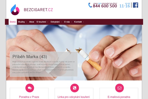 Intuition theme site design template sample