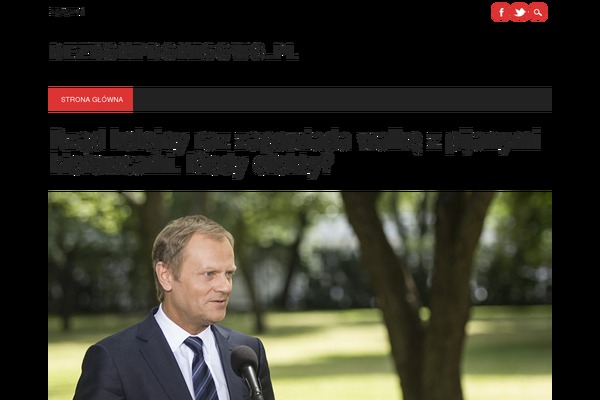 The Newswire theme site design template sample