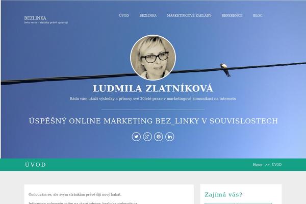 Convac Lite theme site design template sample