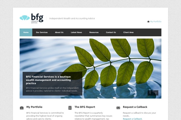 Site using Web-font-social-icons plugin