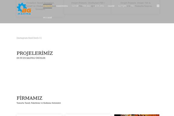 Site using Different-menus-in-different-pages plugin