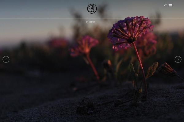 PhotoMe theme site design template sample
