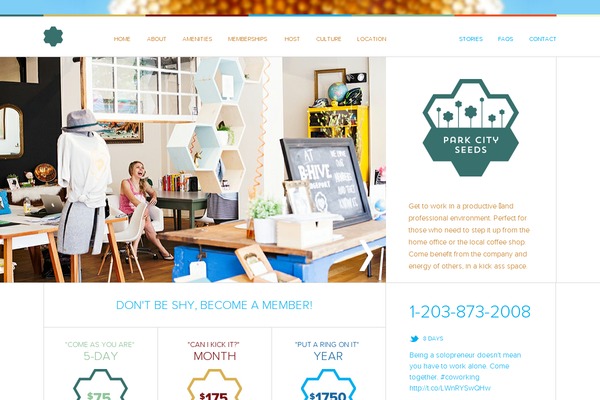 Site using Appointments plugin