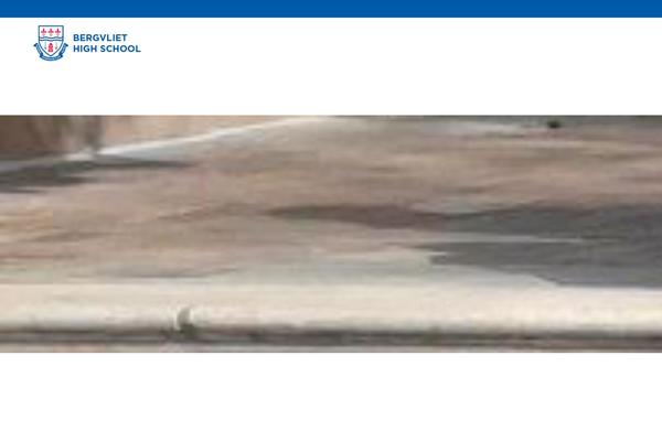 Site using Jet-search plugin