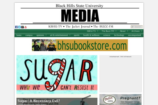 Sno Flex theme site design template sample