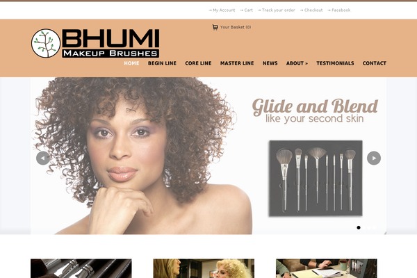 Wp Flexishop Two theme site design template sample