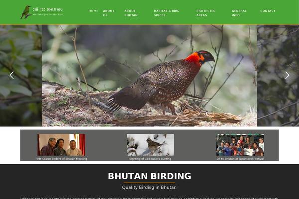 Site using My Custom CSS plugin