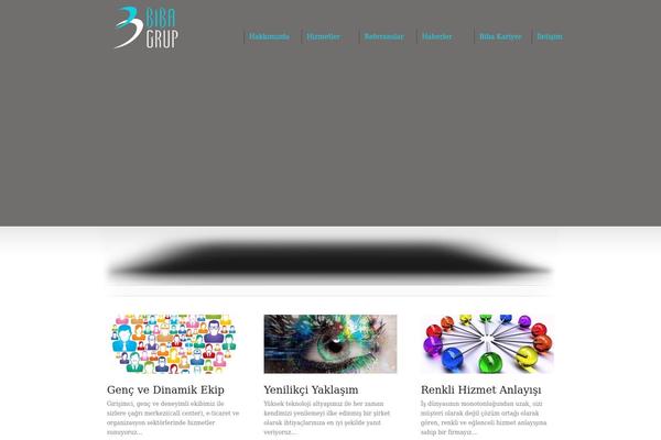 Display theme site design template sample