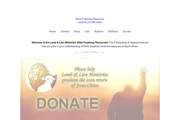 Enfinity theme site design template sample