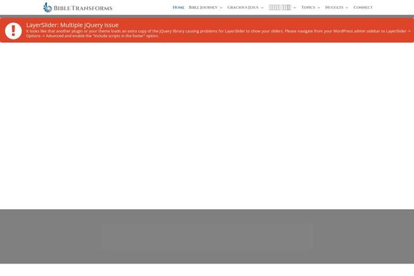 Site using Embed-any-document-plus plugin
