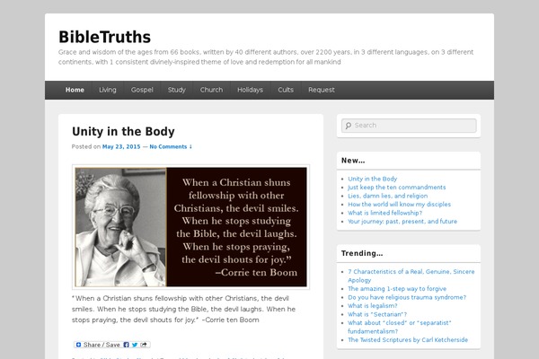 Catch Box theme site design template sample