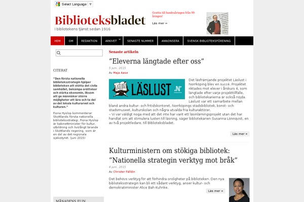 Magazine Basic theme site design template sample