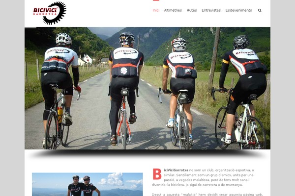 Site using Category Post List Widget plugin