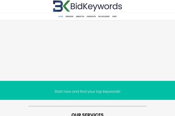 bidkeywords.com site used Seo-business-child