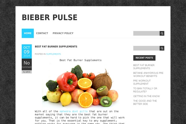BoldR Lite theme site design template sample