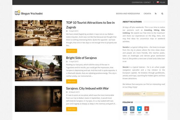 Total theme site design template sample