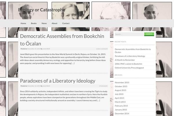 Coller theme site design template sample