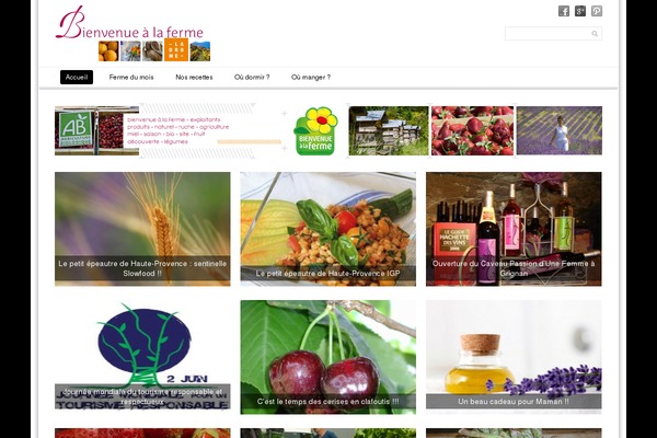 SimpleGrid theme site design template sample