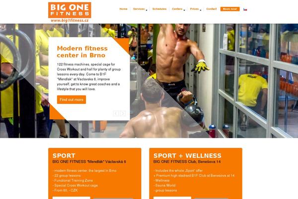 Site using Meet My Team plugin