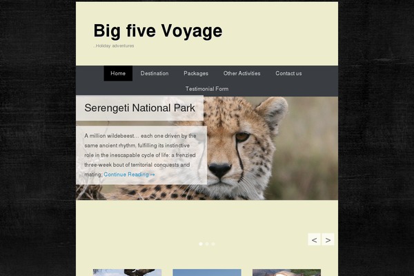 Autoser theme site design template sample