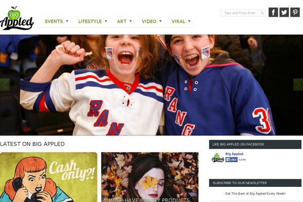Fevenews theme websites examples