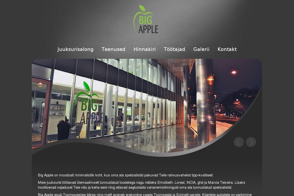 Beauty-center theme site design template sample