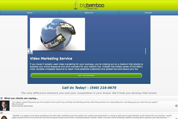 bigbamboomarketing.com site used Proconsultant