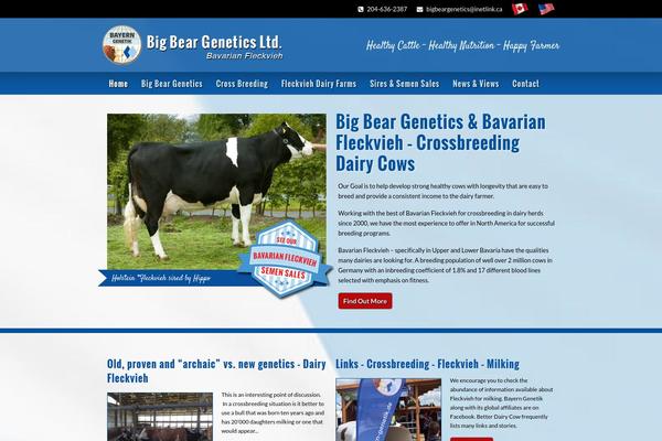 Starkers theme site design template sample