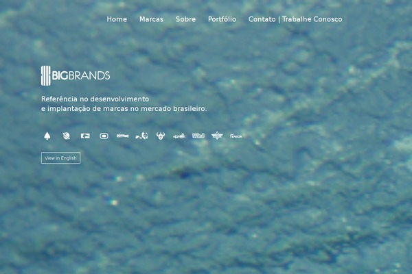Vortex theme site design template sample