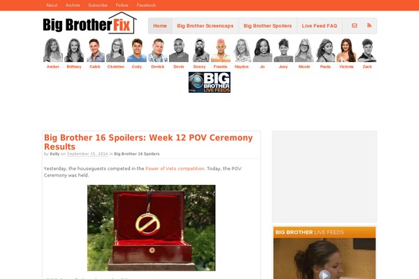 Site using Advanced-social-widget plugin
