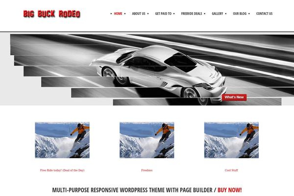 bigbuckrodeo.com site used Solitudo