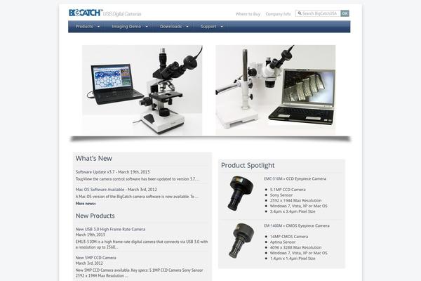 bigc theme websites examples