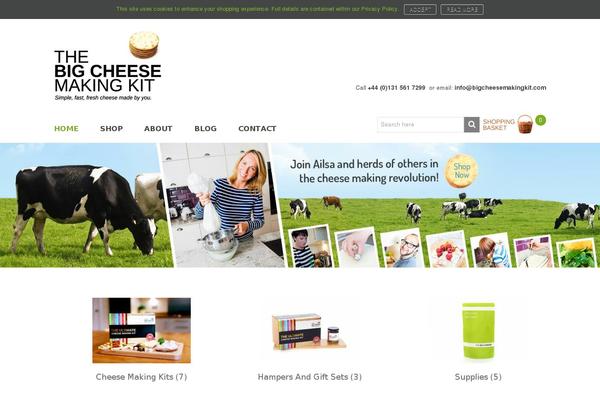 Venedor theme site design template sample