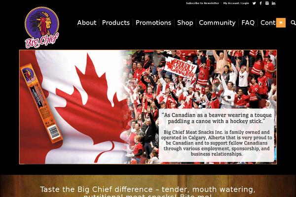 Enfold-child theme site design template sample