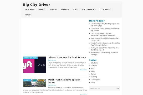 Point theme site design template sample