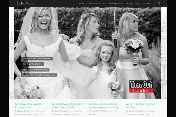 salient-update theme websites examples