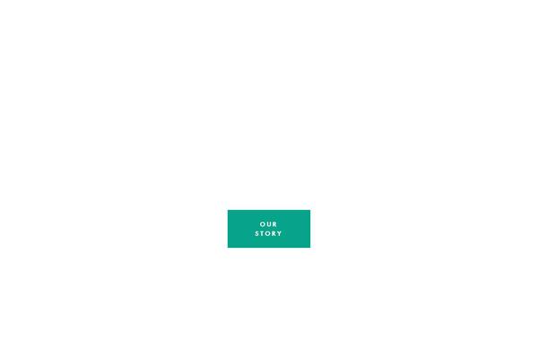Shoptocook-responsive theme site design template sample