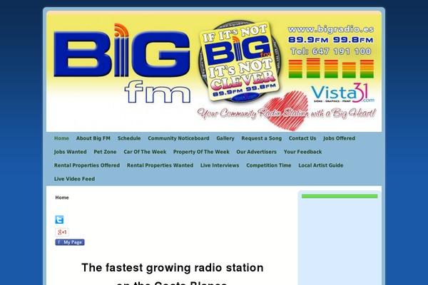 Site using Codescar Radio Widget plugin