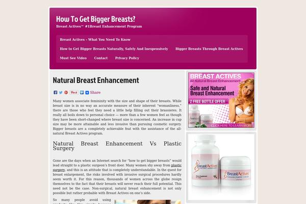biggerbreaststoday.com site used zeeStyle