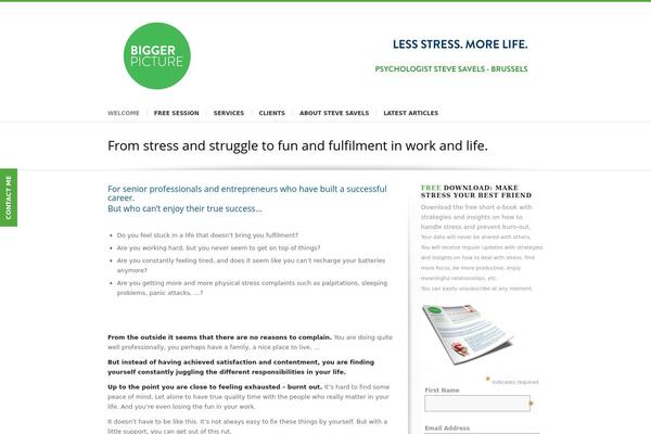 Choices theme site design template sample