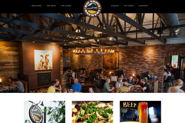 Chicago theme site design template sample