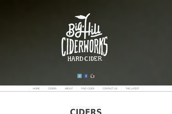 Scrn theme site design template sample
