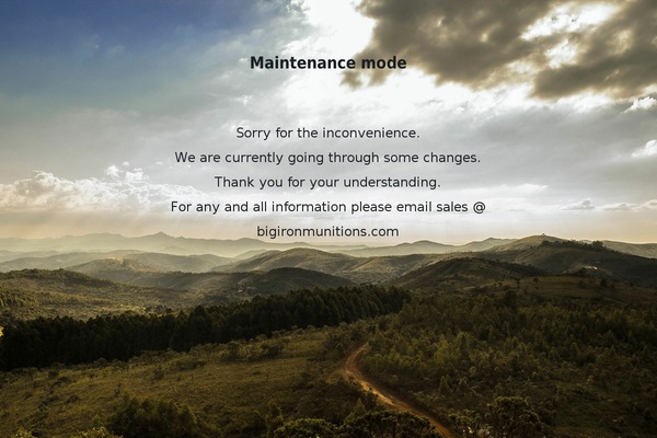 Sarraty theme site design template sample