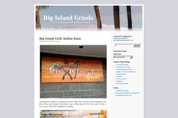 Big theme site design template sample