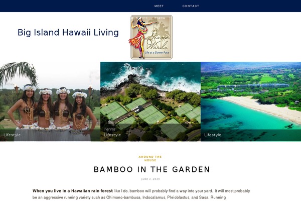 Hemlock theme site design template sample