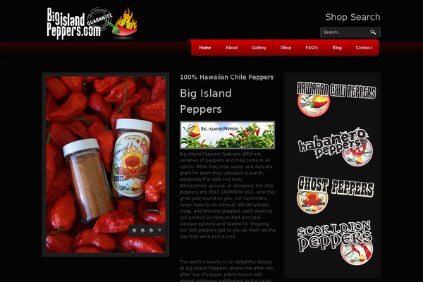 Lavan theme site design template sample
