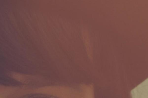 Baylie theme site design template sample